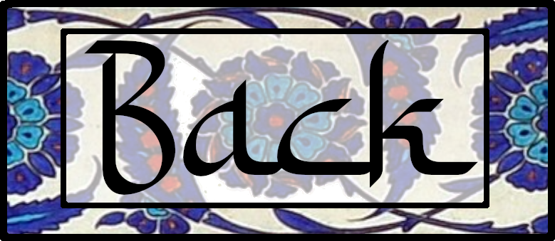 The word BACK written in script on a button textured like Iznik pottery.
